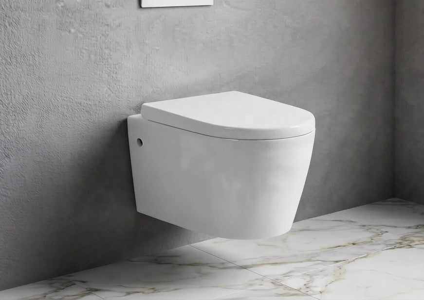 Wall Hung Toilet with Geberit Cistern