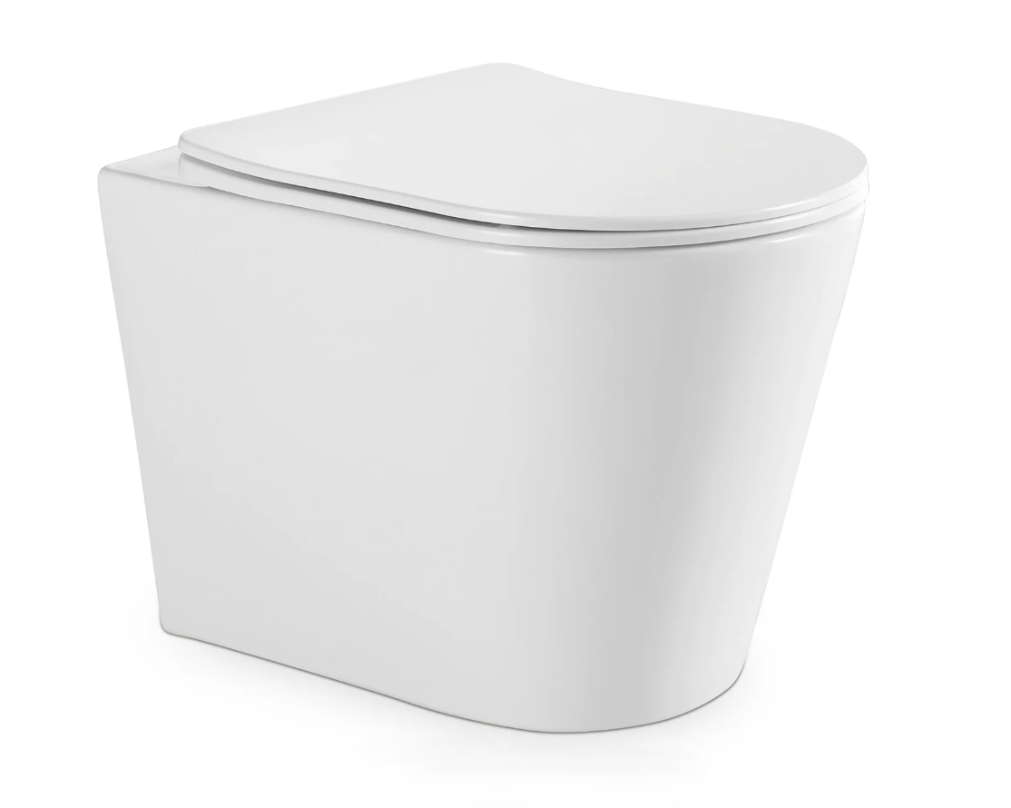 Complete In-Wall Toilet System | Carysil Rimless Pan, Geberit Cistern & SS304 Flush Plate